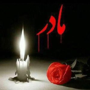 Meet your Posher, Ali